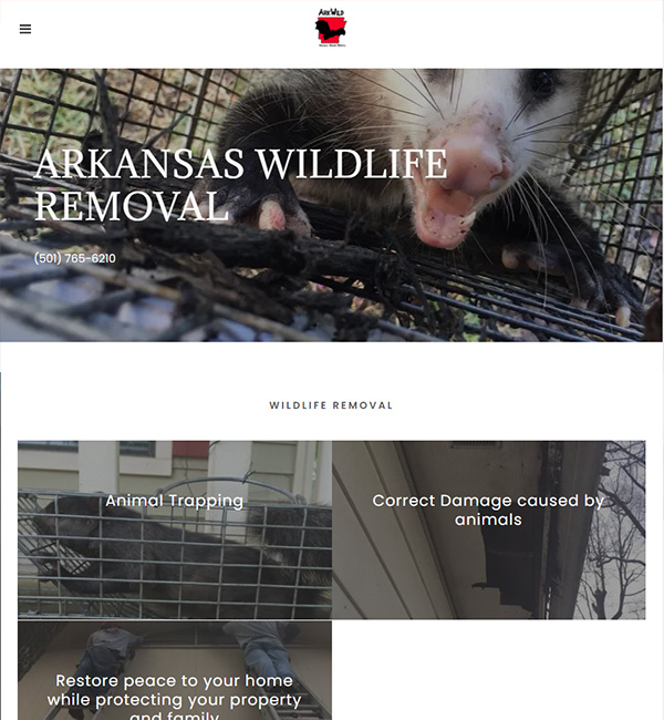 Little Rock Wildlife Control