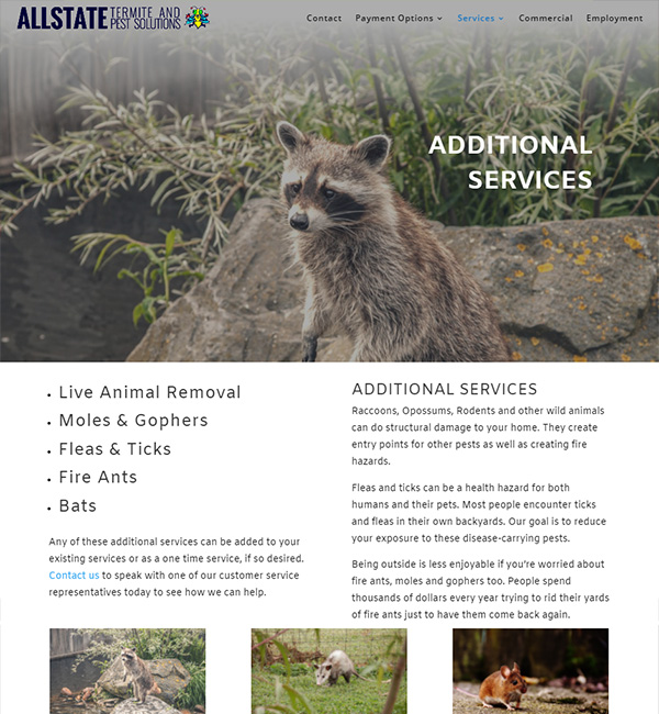 Little Rock Wildlife Control
