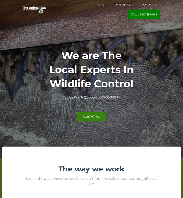 Little Rock Wildlife Control